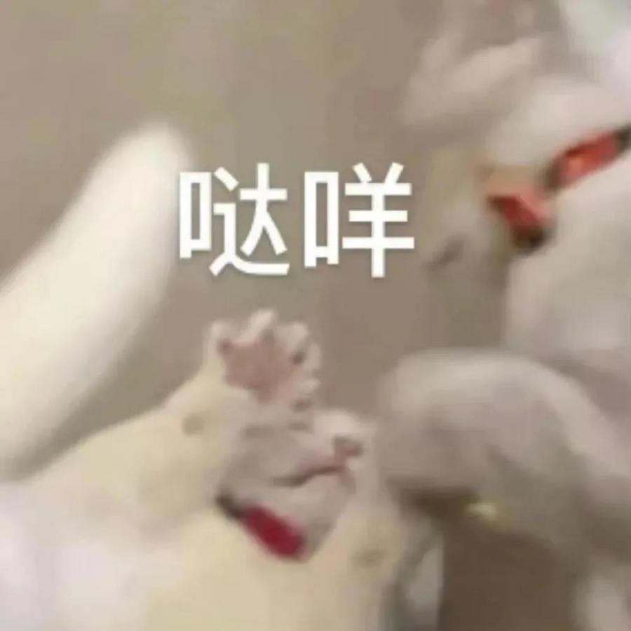 微信图片_20220111171533.jpg